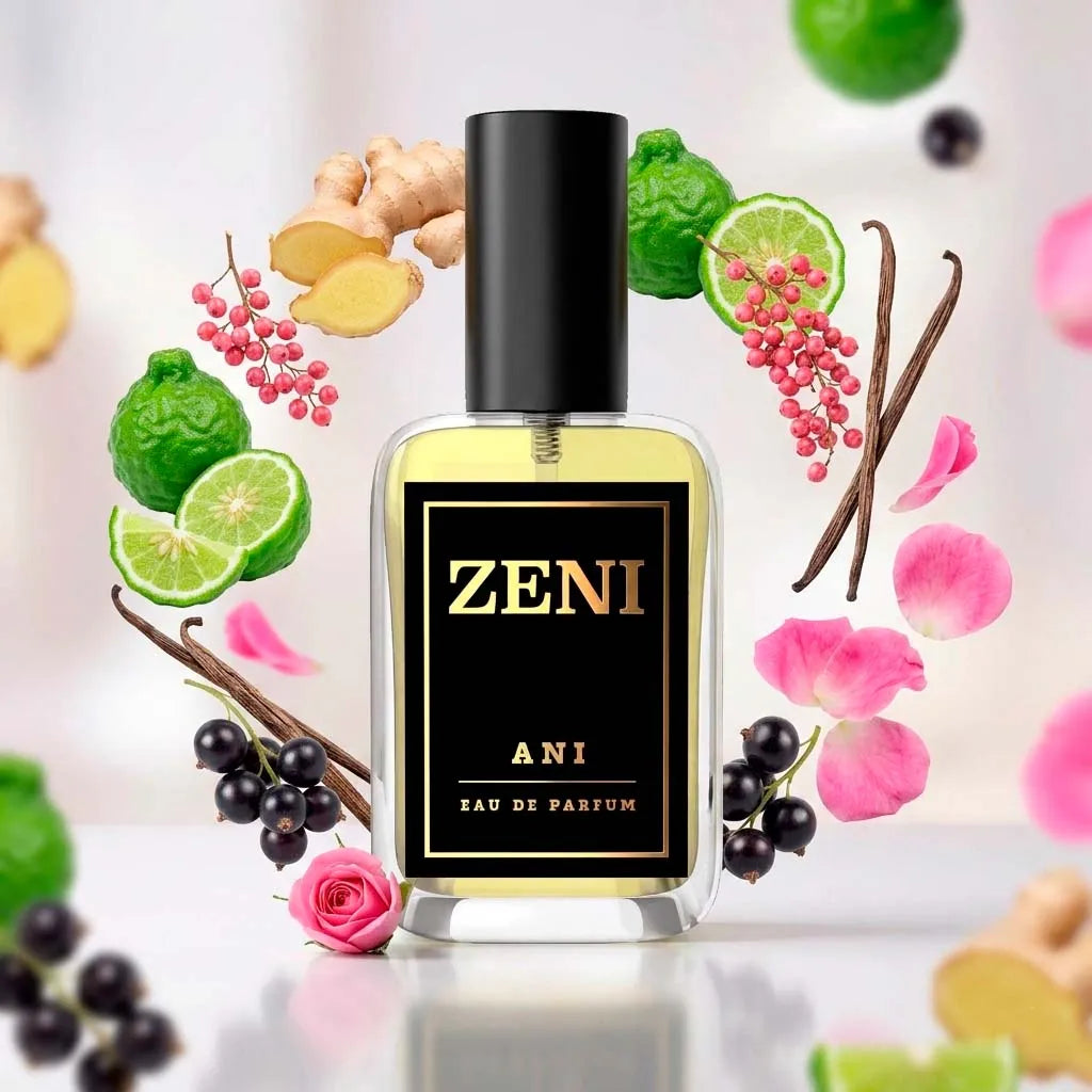 Inspirado Ani Nishane - ANI - ZENI AMBIENT
